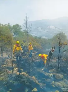  ?? /CORTESÍA/CONAFOR ?? Trabajos de prevención y mitigación de incendios, en manos de los estados y municipios