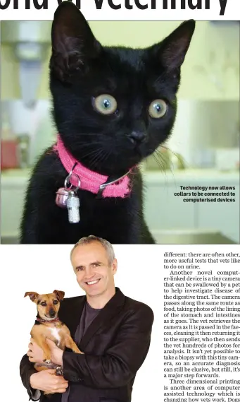  ??  ?? Technology now allows collars to be connected to computeris­ed devices