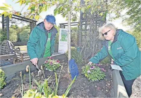  ?? ?? Helping hand Volunteers tend to the Macmillan Move More community garden at Summerlee museum