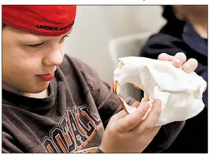  ?? Arkansas Democrat-Gazette/THOMAS METTHE ?? Jackson Coffman, 7, checks out a beaver skull Saturday during the “fantastic beasts” program at the Witt Stephens Jr. Central Arkansas Nature Center in Little Rock.