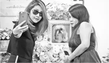  ??  ?? Pimrachaya (left) and her friend taking a selfie with a photo of Dollar during the pet’s funeral at Wat Krathum Suea Pla Buddhist temple in Bangkok. — AFP photo