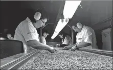  ?? PROVIDED TO CHINA DAILY ?? Workers process coffee beans on a production line in Colombia.