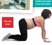 ??  ?? Cat-cow pose
Basic strengthen­ing and stretching exercises (FAR LEFT, LEFT and BELOW) are important tools to maintain spine health and need to be done daily.