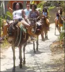  ?? ROB MUNRO/Special to The Okanagan Weekend ?? Some enthusiast­ic tourists rent horses in Yelapa, Mexico for the relatively short but hilly journey to the waterfall on the El Tuito River.