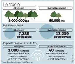  ??  ?? Lo studio del Comitato Lungarno del Tempio presentato ieri all’iniziativa sugli alberi in città di Italia Nostra