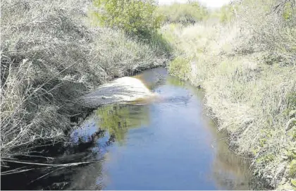  ?? JOSÉ ANTONIO AGUILAR ?? Cauce del río Cabra, a su paso por el término municipal de Monturque.