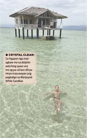  ??  ?? ■ CRYSTAL CLEAR: Sa higayon nga matagbaw mo sa dolphin watching ayaw una mo og pa-uli kon dili pa ninyo masuwayan ang pagkaligo sa Manjuyod White Sandbar.