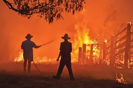  ?? (AFP) ?? Residents defend a property from a bushfire at Hillsville near Taree, 350km north of Sydney on Tuesday