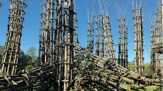  ??  ?? Crollata La Cattedrale Vegetale a Lodi di Giuliano Mauri, dopo la tromba d’aria di fine ottobre