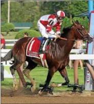  ?? FILE PHOTO PROVIDED BY SPENCER TULIS ?? Songbird's connection­s walk her to the paddock before the 100th running of the Grade 1 Coaching Club American Oaks Sunday, July 24, 2016 at Saratoga Race Course.