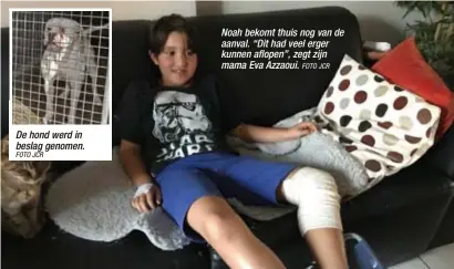  ?? FOTO JCR
FOTO JCR ?? De hond werd in beslag genomen. Noah bekomt thuis nog van de aanval. “Dit had veel erger kunnen aflopen”, zegt zijn mama Eva Azzaoui.