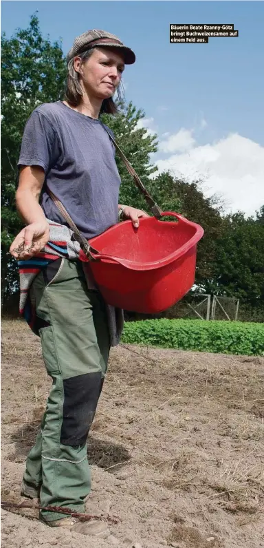  ?? ?? Bäuerin Beate Rzanny-Götz bringt Buchweizen­samen auf einem Feld aus.