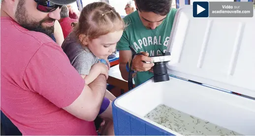  ??  ?? Sylvain Lacombe et sa fille Laurence observent des bébés homards pour la première fois. - Acadie Nouvelle: Simon Delattre