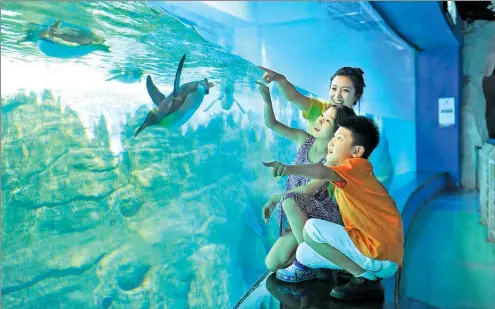  ?? PROVIDED TO CHINA DAILY ?? Children and their mother enjoy the sight of penguins swimming at the Dalian Laohutan Polo-Aquarium.