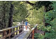  ?? FOTO: BERND F. MEIER/DPA-TMN ?? Die Natur entdecken: Ein 150 Meter langer Steg führt ins Hangmoor von Thranenwei­er.