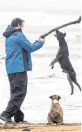  ??  ?? Port in a storm: A tanker in Dublin Port (far left) and Don Canny with his dogs at Myrtlevill­e Beach, Cork (left)