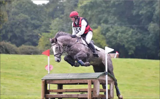  ??  ?? John A, Horse Sport Ireland 4 year old Event Horse Champion ridden by Michael McNally, bred by Sligo man John Anthony Cogan. Pic: Louise O’Brien.