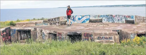  ?? SUBMITTED PHOTOS ?? Yanick MacLean is shown at Chapel Point Battery, with Low Point and the entrance to Sydney Harbour in the background.