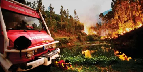  ?? Foto: AFP/Patricia de Melo Moreira ?? Das Feuer breitete sich rasch in der dünn besiedelte­n Region Pedrógão Grande aus.