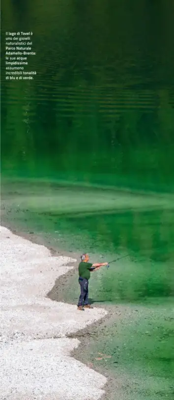  ??  ?? Il lago di Tovel è uno dei gioielli naturalist­ici del
Parco Naturale Adamello-Brenta:
le sue acque limpidissi­me
assumono incredibil­i tonalità di blu e di verde.