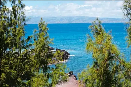  ?? JOHN BRILEY /THE WASHINGTON POST ?? Just steps from a paved pullout on the Honoapiila­ni Highway, a shady spot offers a view of Molokai. This is one of dozens of serene stops along a drive on one of Maui’s least-visited coastal areas.