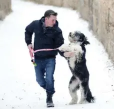  ?? MARCUS OLENIUK/TORONTO STAR ?? Coco the dog, here with his owner, Ted Endean, loves tennis balls, the pizza delivery guy and the local groomer.