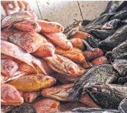  ?? JOHN ROBLEDO ?? Pescados de diferente tamaño en el mercado.