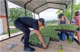  ?? CHRIS KOHLEY / MILWAUKEE JOURNAL SENTINEL ?? Volunteers load plants onto a trailer at the Hunger Task Force Farm.