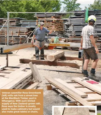  ?? ?? Veteran sawmiller Ross Greenbank (left) mills oak from a street tree at the MacBlack Timber yard in Whanganui. With such limited supply of New Zealand-grown oak, Ross says the timber is mostly used to make cabinetry but would also make great tables or chairs.