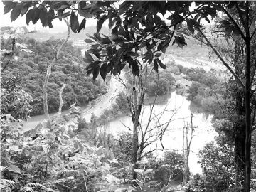  ??  ?? The Shah Alam Community Forest was formed to serve as the “guardian” of a precious 160-hectare green lung and press the Selangor authoritie­s to gazette it as a permanent forest reserve.