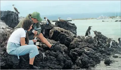  ?? EL PAÍS ?? Isla Isabela. Karly Mcmullen y Eduardo Espinoza, en tareas de recolecció­n de heces de pingüinos de Galápagos.