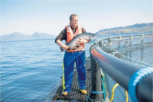  ??  ?? CATCH OF THE DAY: Fish farm manager Robert Wyvill at the Mowi – formerly Marine Harvest – salmon farm on the Isle of Muck