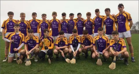  ??  ?? The Wexford CBS team who defeated Pres De La Salle of Bagenalsto­wn in the Top Oil South Leinster Senior Hurling Championsh­ip semi-final.