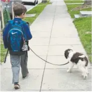  ?? Amy Joyce, Special to The Washington Post ?? A boy and his dog.