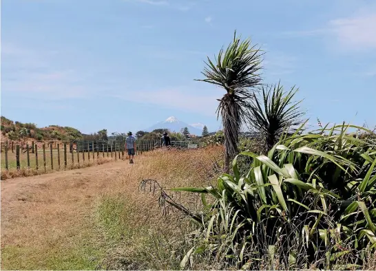  ?? PHOTOS: CATHERINE GROENESTEI­N/STUFF ?? Flax, cabbage trees and wide open spaces are a feature.