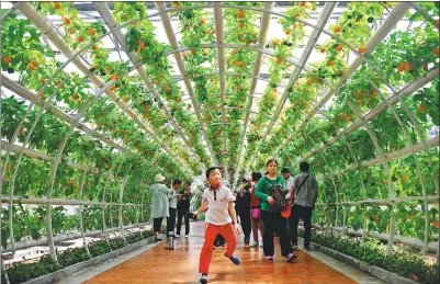  ?? ZHAO YUGUO / FOR CHINA DAILY ?? Visitors looking at vegetable displays during a recent agricultur­al product exhibition in Weifang, Shandong province.