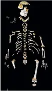  ?? PALEOANTHR­OPOLOGY GROUP MNCN-CSIC ?? Skeleton of the Neandertha­l boy recovered from the El Sidron cave, Spain.