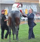  ?? GETTY IMAGES ?? Jockey Jose Ortiz and trainer Chad Brown celebrate after their horse, Early Voting, won the 147th running of the Preakness Stakes on Saturday at Pimlico Race Course