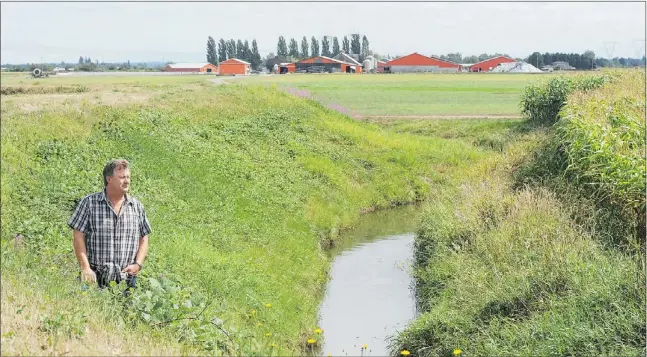  ?? JASON PAYNE/PNG ?? The City of Surrey gives Stan Van Keulen a small budget to maintain the dikes that protect his dairy farm near Mud Bay — but it’s not enough.