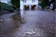  ?? SETH WENIG — THE ASSOCIATED PRESS ?? A fish lies on the driveway of a house near a river that overflowed in Woodland Park, N.J., Thursday, Sept. 2.