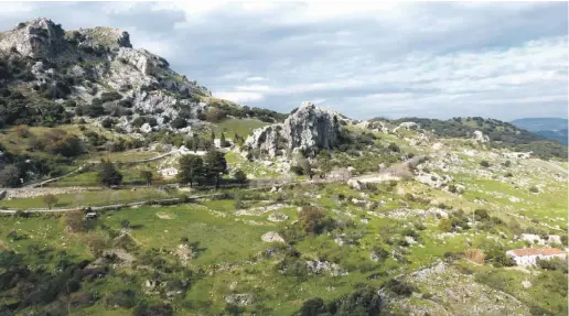  ?? Foto: Wiltrud Schwetje ?? Im Zeichen des Umweltschu­tzes: Der Nachhaltig­keitsplan soll auch für den Naturpark Sierra de Grazalema gelten.