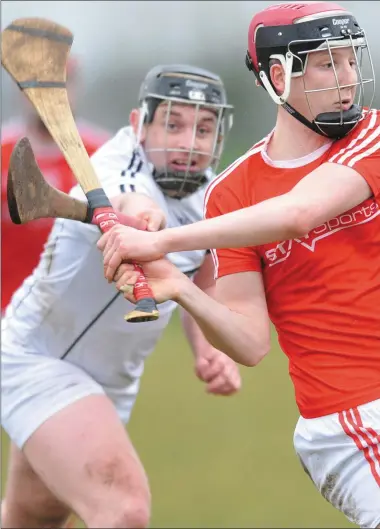  ??  ?? Paul Matthews drives the ball forward for Louth against Warwickshi­re. Pictures: Ken Finegan