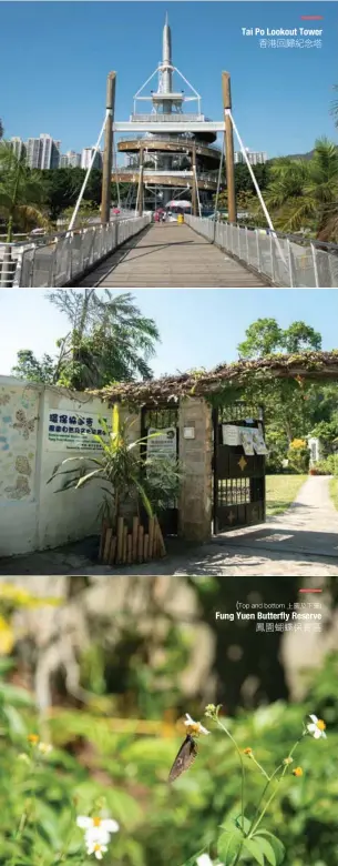  ??  ?? (Top and bottom 上圖及下圖) Fung Yuen Butterfly Reserve鳳園蝴­蝶保育區