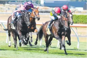  ?? Photo / Race Images ?? The Chosen One and Matt Cameron won the Thorndon Mile.
