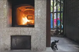  ?? AMANDA MUSTARD / THE NEW YORK TIMES ?? The body of a dog is cremated at a Buddhist temple in Bangkok.