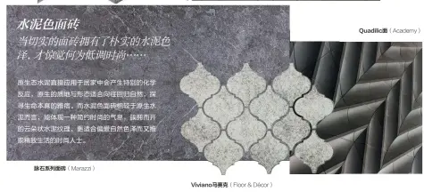  ??  ?? 脉石系列面砖（Marazzi） Viviano马赛克（Floor &amp; Décor） Quadilic面（Academy）