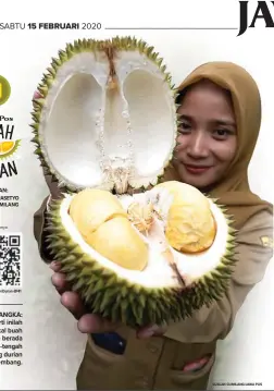  ?? Http://qr.jawapos.com/Durian-EP41 GUSLAN GUMILANG/JAWA POS ?? LANGKA: Seperti inilah bentuk bakal buah yang berada di tengah-tengah daging durian kembang.