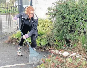  ??  ?? Keeping it clean Volunteers who go the extra mile can get a helping hand