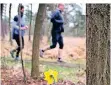  ?? RP-ARCHIV: BUSCH ?? Das schöne Wetter wird viele Leute in den Wald locken.