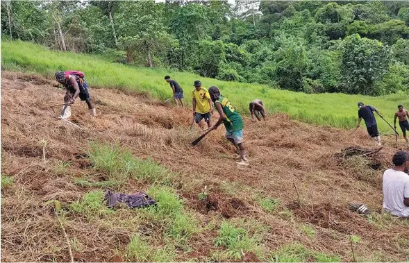  ?? ?? Eso vei ira na cakacaka tiko ena teitei mai Wainibau, Tailevu.